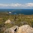  Land for sale in Chile, La Ligua, Petorca, Valparaiso, Chile