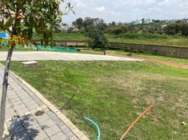  Terreno (Parcela) en venta en Atlixco, Puebla, Atlixco