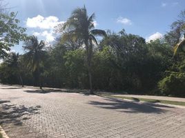 Studio Haus zu verkaufen in Cozumel, Quintana Roo, Cozumel