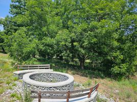  토지을(를) Montemorelos, 누에 보 레온에서 판매합니다., Montemorelos