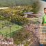  Land for sale in Tixkokob, Yucatan, Tixkokob