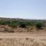  Land for sale in Santa Maria Del Rio, San Luis Potosi, Santa Maria Del Rio