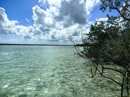 Terrain à vendre à Othon P Blanco, Quintana Roo, Othon P Blanco
