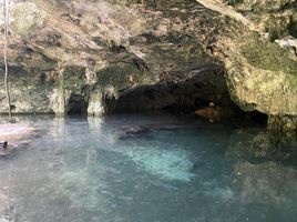  Grundstück zu verkaufen in Cozumel, Quintana Roo, Cozumel
