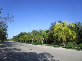  Grundstück zu verkaufen in Cozumel, Quintana Roo, Cozumel