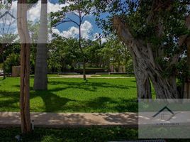  Grundstück zu verkaufen in Yaxkukul, Yucatan, Yaxkukul