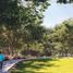  Land for sale in Allende, Nuevo Leon, Allende, Nuevo Leon