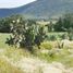  Land for sale in Villa De Tezontepec, Hidalgo, Villa De Tezontepec