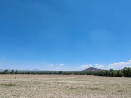  Terreno (Parcela) en venta en Zempoala, Hidalgo, Zempoala