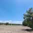  Terreno (Parcela) en venta en Zempoala, Hidalgo, Zempoala