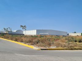  Terreno (Parcela) en venta en San Agustin Tlaxiaca, Hidalgo, San Agustin Tlaxiaca