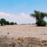  Land for sale in Ajacuba, Hidalgo, Ajacuba