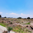  Land for sale in Ajacuba, Hidalgo, Ajacuba