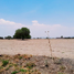  Land for sale in Ajacuba, Hidalgo, Ajacuba