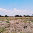  Land for sale in Ajacuba, Hidalgo, Ajacuba
