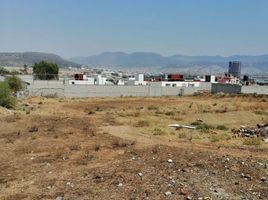  Grundstück zu verkaufen in Pachuca De Soto, Hidalgo, Pachuca De Soto