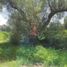  Land for sale in Tizayuca, Hidalgo, Tizayuca