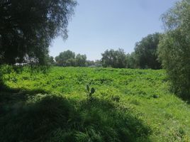  Land for sale in Tizayuca, Hidalgo, Tizayuca