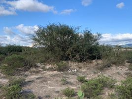  Grundstück zu verkaufen in San Salvador, Hidalgo, San Salvador, Hidalgo