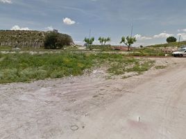  Terreno (Parcela) en venta en San Agustin Tlaxiaca, Hidalgo, San Agustin Tlaxiaca