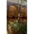 3 Bedroom House for sale in San Cristobal De Las Casas, Chiapas, San Cristobal De Las Casas, Chiapas