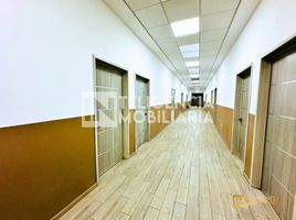 0 m² Office for rent in Chiautla, Mexico, Chiautla