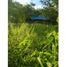  Land for sale in Primero De Mayo, Chaco, Primero De Mayo
