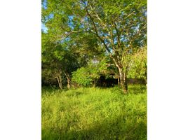  Land for sale in Primero De Mayo, Chaco, Primero De Mayo