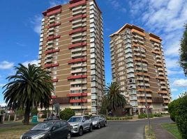 3 Habitación Apartamento en alquiler en Nueva Imperial, Cautín, Nueva Imperial