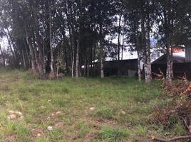  Land for sale in Araucania, Villarrica, Cautin, Araucania