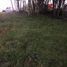  Land for sale in Araucania, Villarrica, Cautin, Araucania