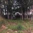  Land for sale in Araucania, Villarrica, Cautin, Araucania