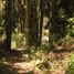  Land for sale in Araucania, Pucon, Cautin, Araucania