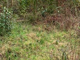  Land for sale in Araucania, Pucon, Cautin, Araucania