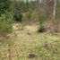  Land for sale in Araucania, Pucon, Cautin, Araucania