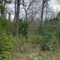  Land for sale in Araucania, Pucon, Cautin, Araucania