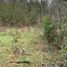  Land for sale in Araucania, Pucon, Cautin, Araucania