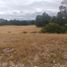  Land for sale in Araucania, Loncoche, Cautin, Araucania