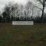  Land for sale in Araucania, Villarrica, Cautin, Araucania