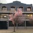 470 SqM Office for rent in Chile, Temuco, Cautin, Araucania, Chile