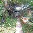 3 Bedroom House for sale in Chile, Santiago, Santiago, Santiago, Chile