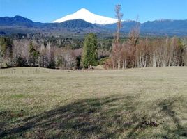  Land for sale in Chile, Villarrica, Cautin, Araucania, Chile