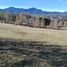  Land for sale in Chile, Villarrica, Cautin, Araucania, Chile