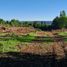  Land for sale in Chile, Chillan, Diguillin, Nuble, Chile