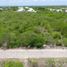 Land for sale in Tixpehual, Yucatan, Tixpehual