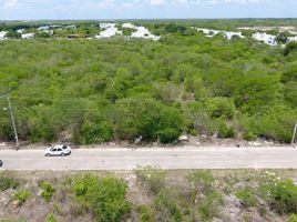  Land for sale in Tixpehual, Yucatan, Tixpehual