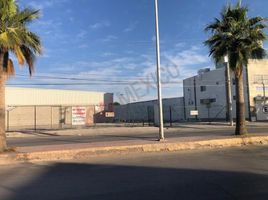  Grundstück zu vermieten in Torreon, Coahuila, Torreon