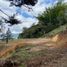  Land for sale in Guatape, Antioquia, Guatape