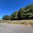  Land for sale in Patzcuaro, Michoacan, Patzcuaro