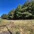  Land for sale in Patzcuaro, Michoacan, Patzcuaro